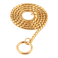 Hundhalsband med Guldkedja