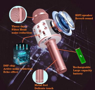 Karaoke Mikrofon med Högtalare och Bluetooth