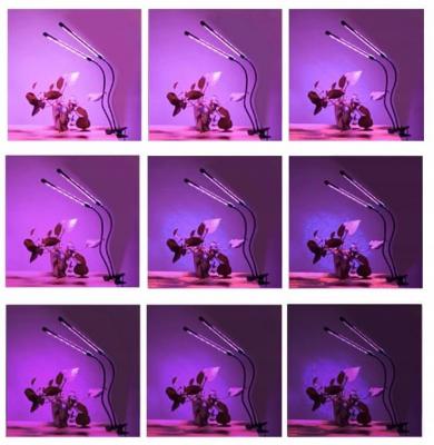 LED Växtlampa med Timer & Klämma