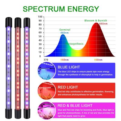 LED Växtlampa med Timer & Klämma