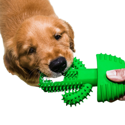 Tandleksak för hunden