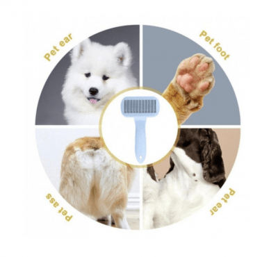 Självrengörande Pälsborste