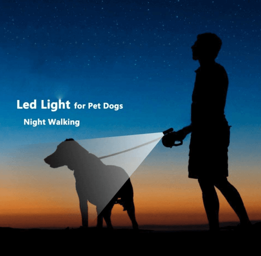 belysning hundkoppel